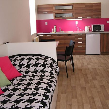 Apartment Třeboň 客房 照片