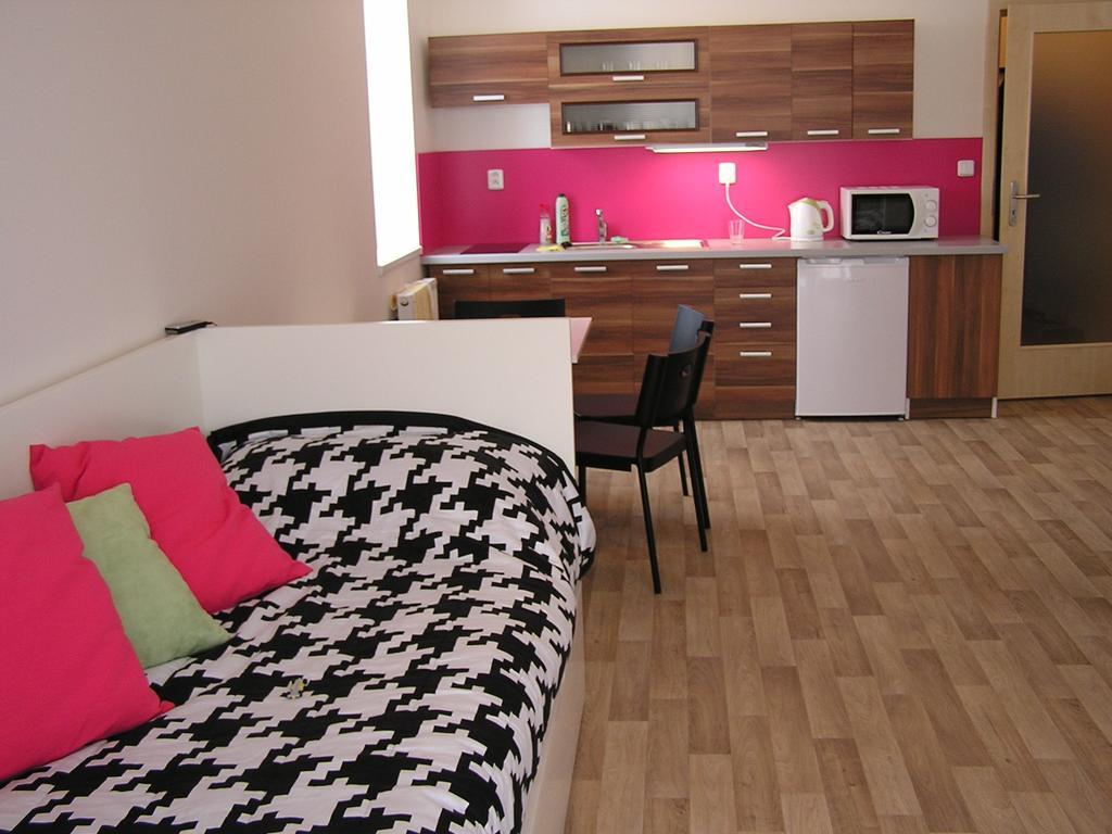 Apartment Třeboň 客房 照片